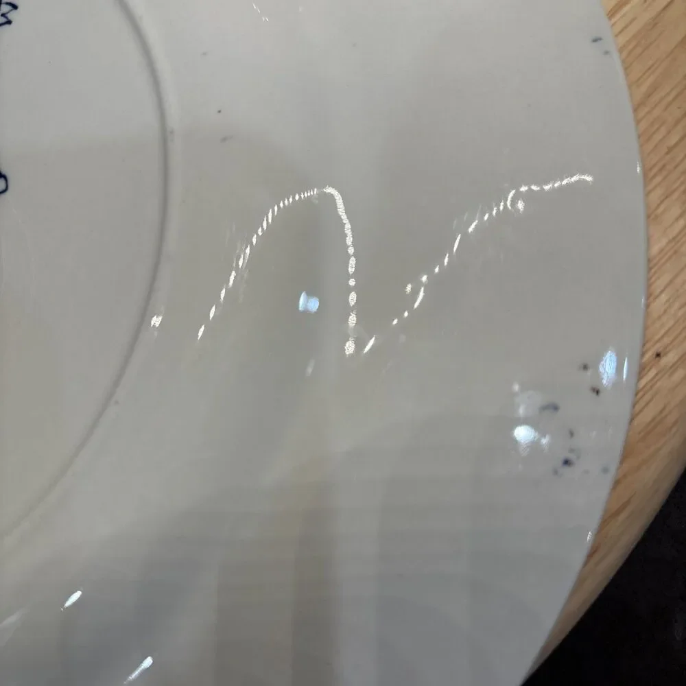Vintage Rocky Mtn Nat’l Park Fine Straffordshire Ware Blue White Souvenir Plate